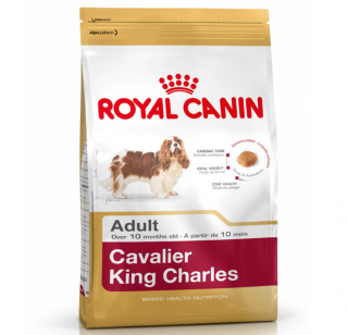 Royal Canin Cavalier King Charles Adult 1.5 kg Köpek Maması kullananlar yorumlar